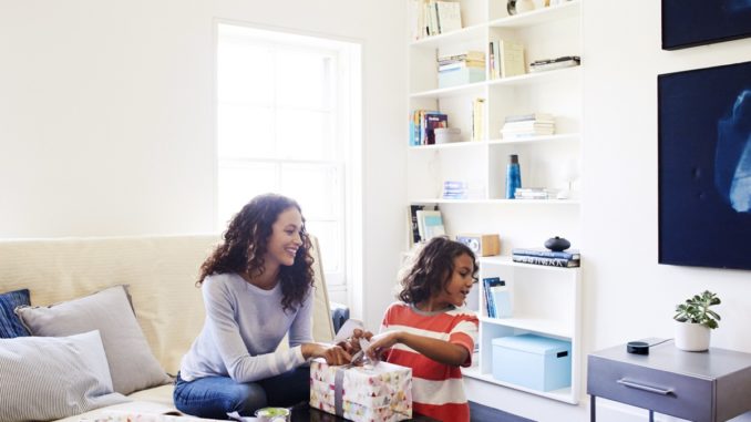 Echo Dot Living Room