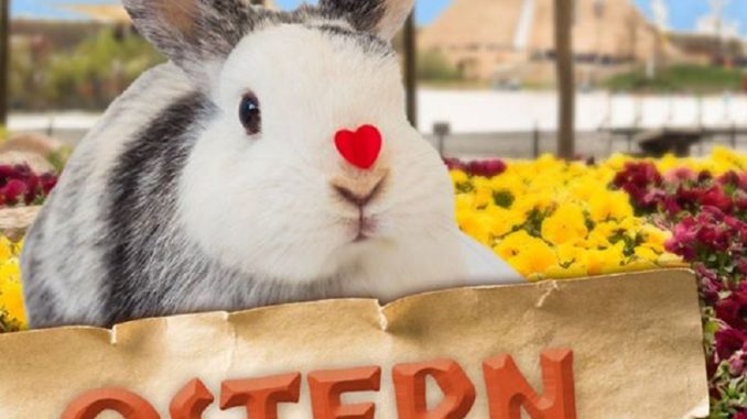 BELANTIS_Ostern