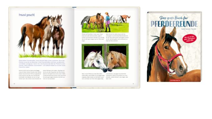 pferd