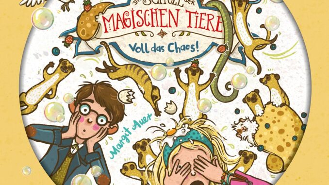 DSDMT 12 Cover