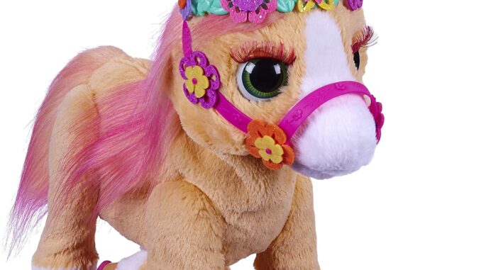 hasbropferd