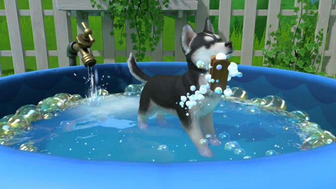 Little_Friends_Puppy_Island_3